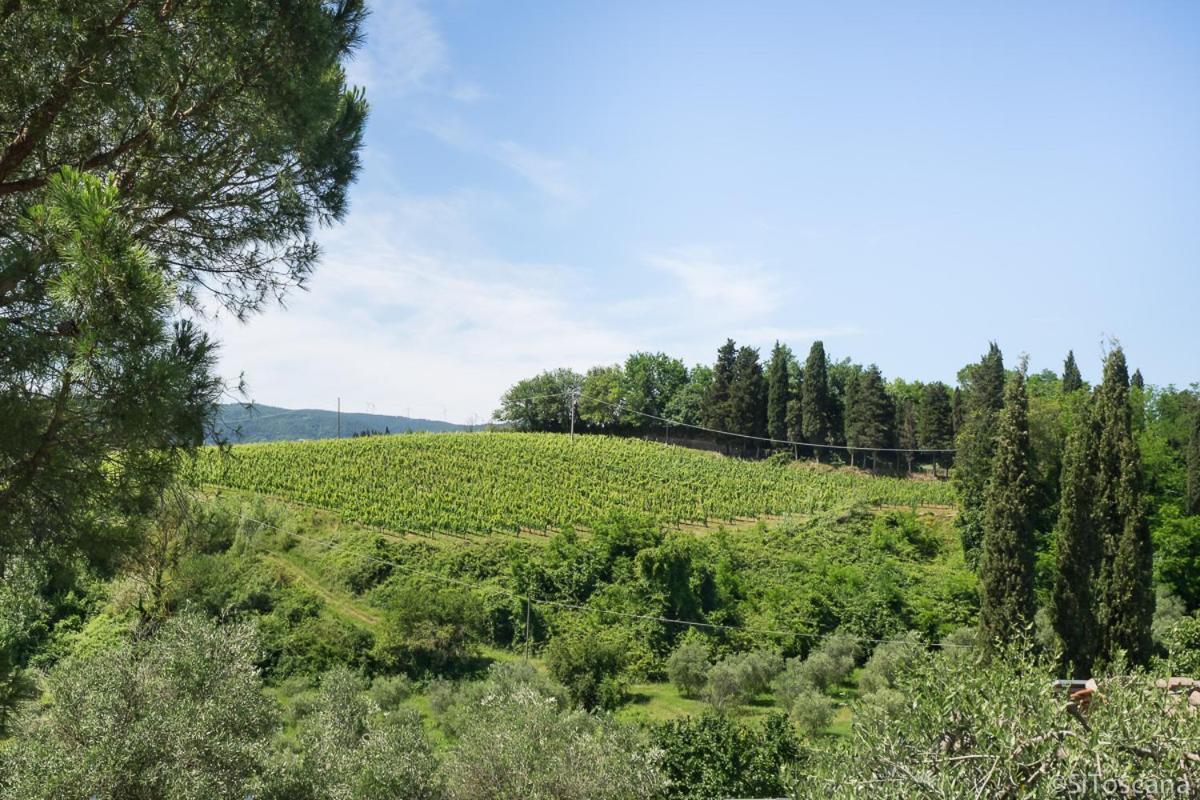 Agriturismo Terre Di Toscana Terricciola ภายนอก รูปภาพ