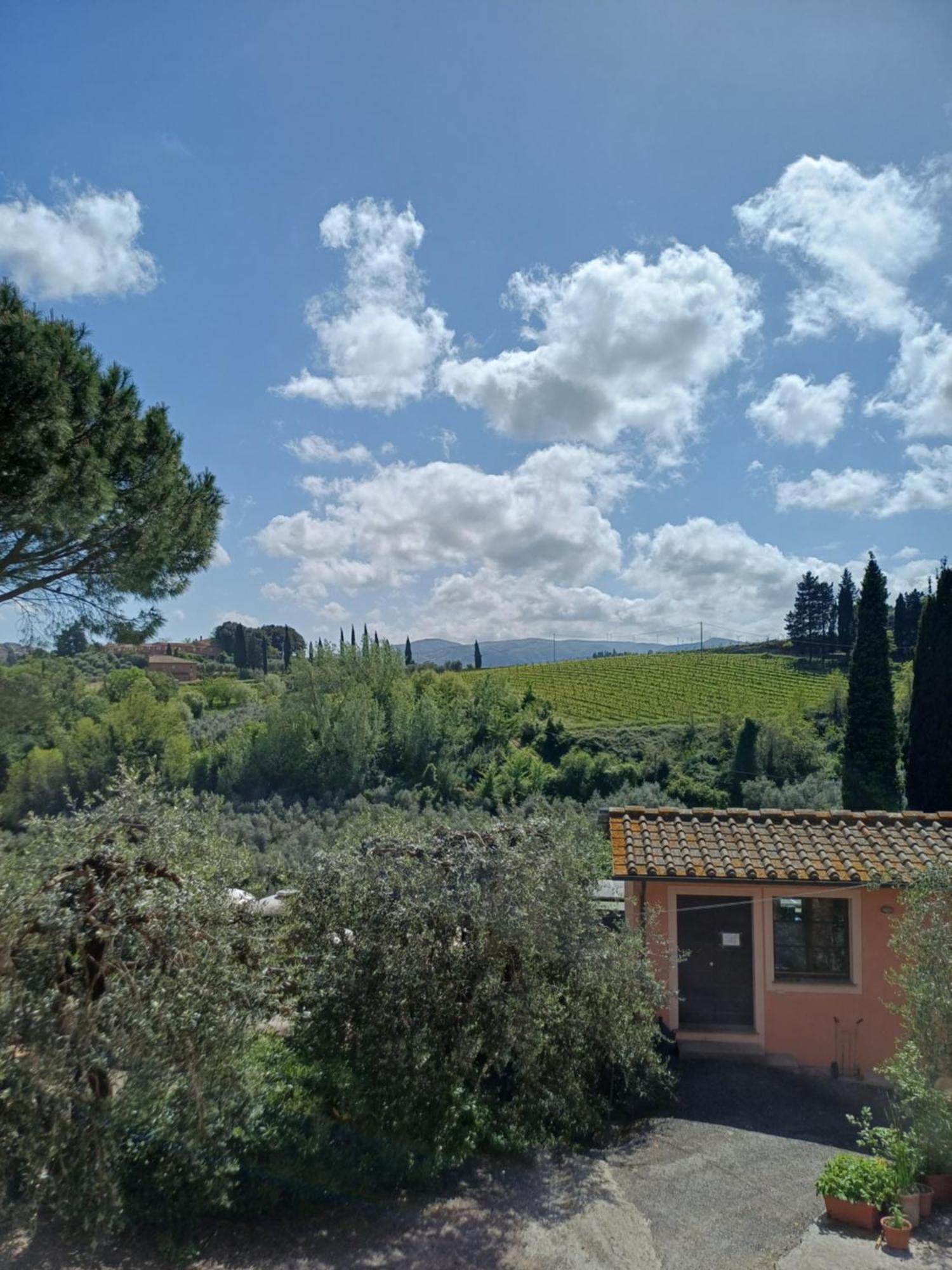 Agriturismo Terre Di Toscana Terricciola ภายนอก รูปภาพ